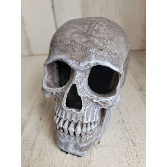 Unique Halloween sitting scary skull skeleton head prop home decor vintage - Picture 6 of 7